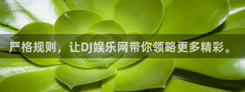 壹号平台下载