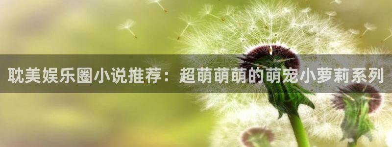 美狮贵宾会娱乐