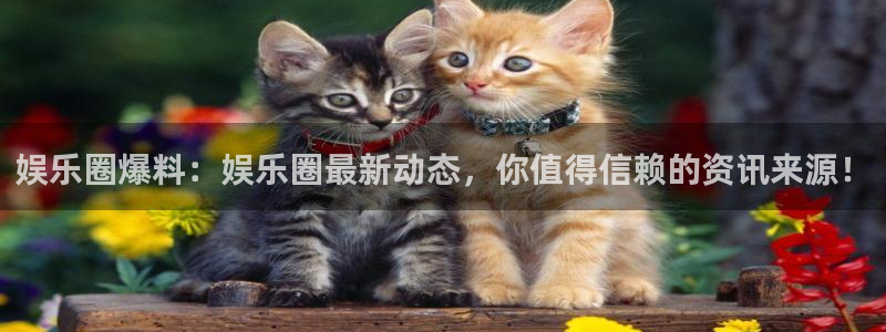美狮贵宾会电子游戏