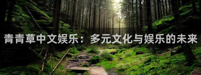 美狮贵宾会是大平台吗