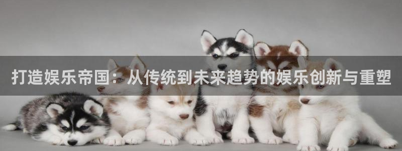 美狮贵宾会平台官网登录入口