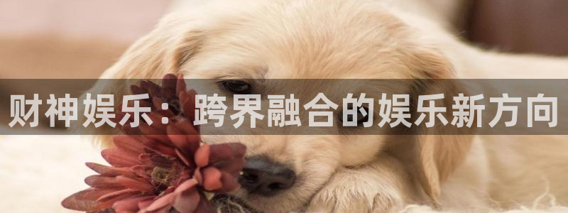 壹号大舞台娱乐传媒
