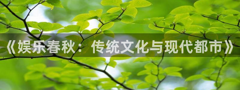 美狮贵宾会电子游戏官网