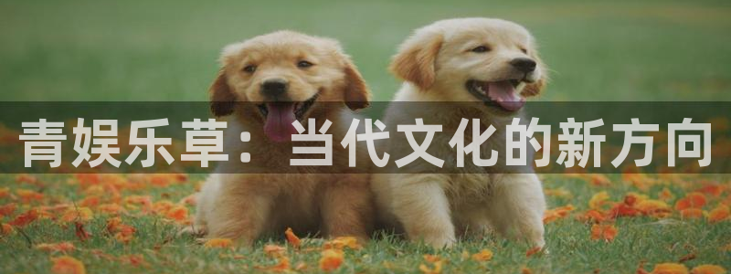 壹号大舞台娱乐传媒