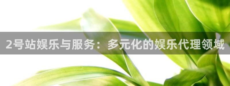 美狮贵宾厅