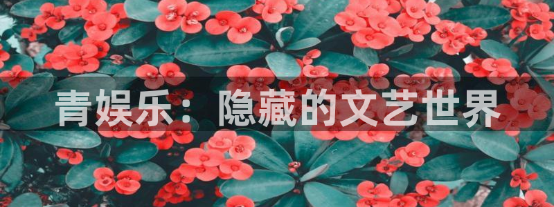 美狮贵宾会下载链接