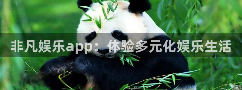 壹号app官方登录入口下载