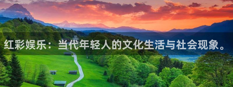 壹号app下载