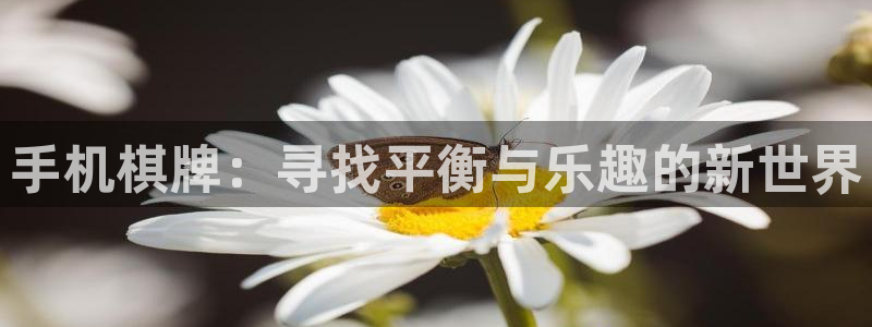 美狮贵宾会下载链接是多少