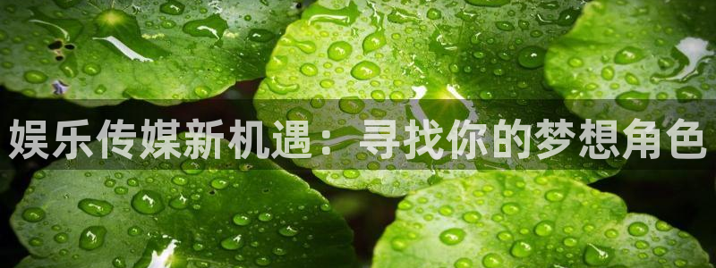 美狮贵宾会注册