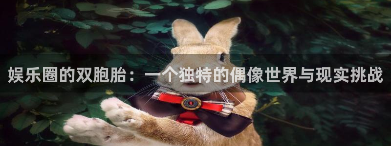下载美狮贵宾会