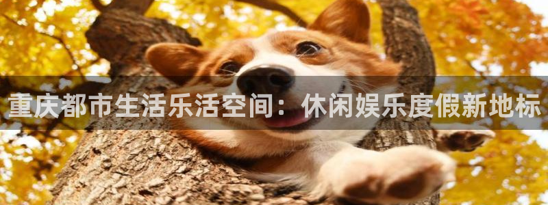 美狮贵宾会网站