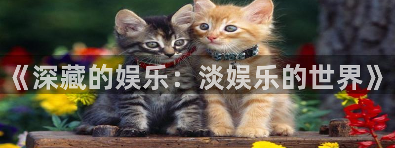 壹号app下载链接：《深藏的娱乐：淡娱乐的世界》