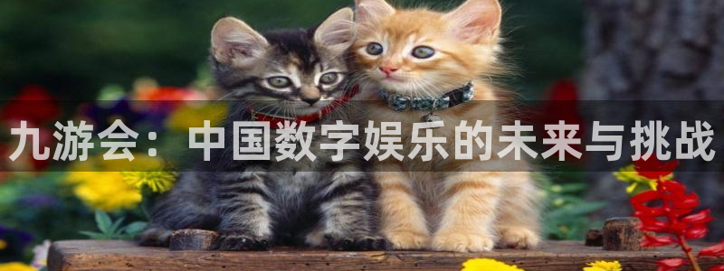 美狮贵宾会注册入口：九游会：中国数字娱乐的未来与挑战