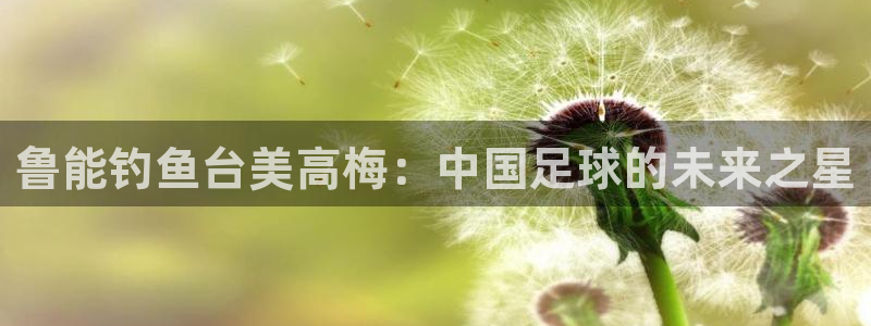 美狮贵宾会怎么下载：鲁能钓鱼台美高梅：中国足球的未来之星