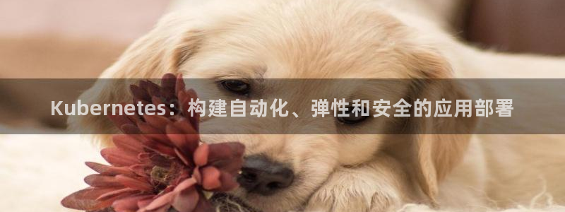 美狮贵宾会电子娱乐官网下载：Kubernetes：构建自动化、弹性和安全的应用部署