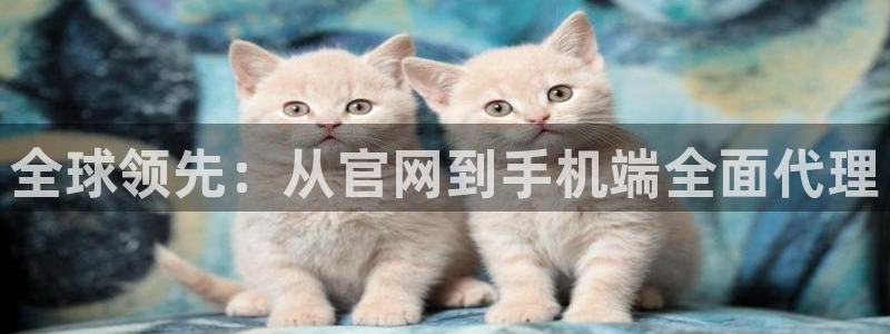 美狮贵宾厅：全球领先：从官网到手机端全面代理