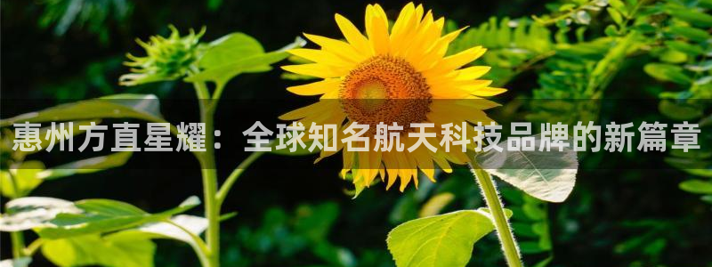 美狮贵宾会app最新版：惠州方直星耀：全球知名航天科技品牌的新篇章