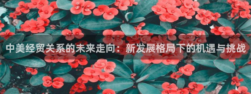 美狮贵宾会入口：中美经贸关系的未来走向：新发展格局下的机遇与挑战