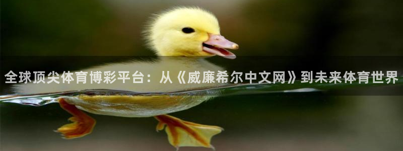 壹号大舞台怎么注册：全球顶尖体育博彩平台：从《威廉希尔中文网》到未来体育世界