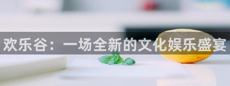 美狮贵宾会网址：欢乐谷：一场全新的文化娱乐盛宴