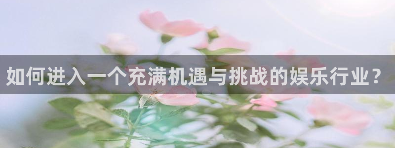 美狮贵宾会官网：如何进入一个充满机遇与挑战的娱乐行业？