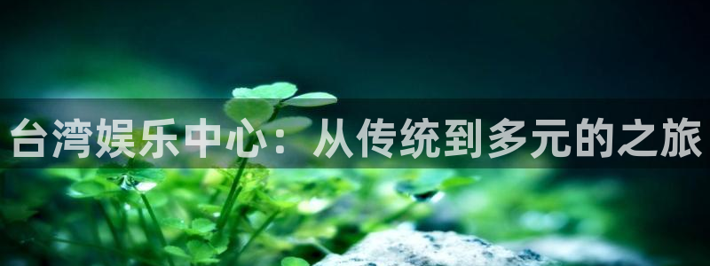 美狮贵宾会平台最新版本下载：台湾娱乐中心：从传统到多元的之旅