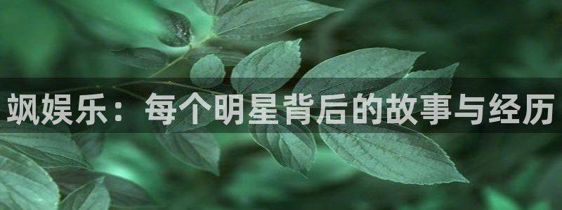 美狮贵宾会下载地址：飒娱乐：每个明星背后的故事与经历