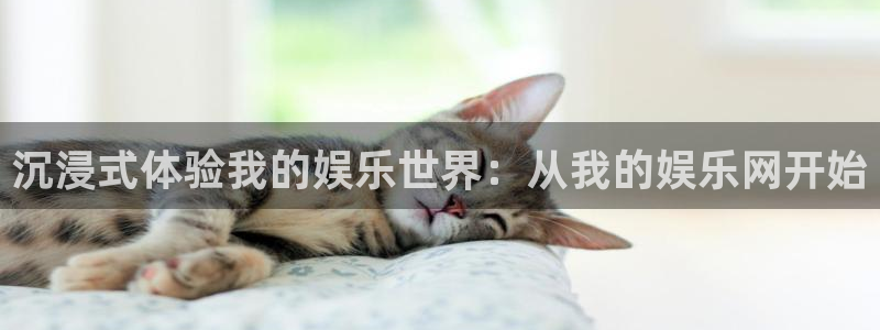 美狮贵宾会电子游戏：沉浸式体验我的娱乐世界：从我的娱乐网开始