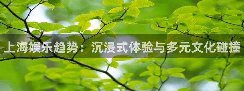 美狮贵宾会注册登录入口：上海娱乐趋势：沉浸式体验与多元文化碰撞