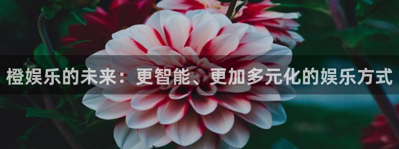 美狮贵宾会.com：橙娱乐的未来：更智能、更加多元化的娱乐方式