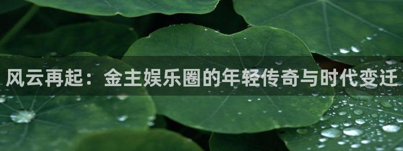 美狮贵宾会app最新版：风云再起：金主娱乐圈的年轻传奇与时代变迁