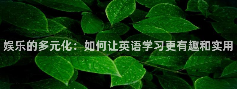 美狮贵宾会注册登录入口：娱乐的多元化：如何让英语学习更有趣和实用