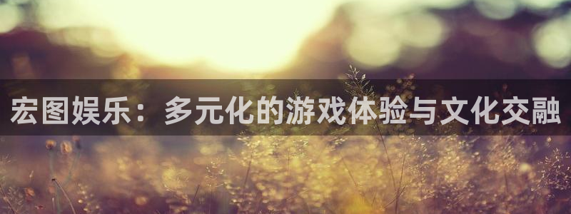 壹号电子娱乐app：宏图娱乐：多元化的游戏体验与文化交融