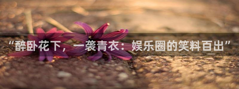 美狮贵宾会平台官方入口：“醉卧花下，一袭青衣：娱乐圈的笑料百出”