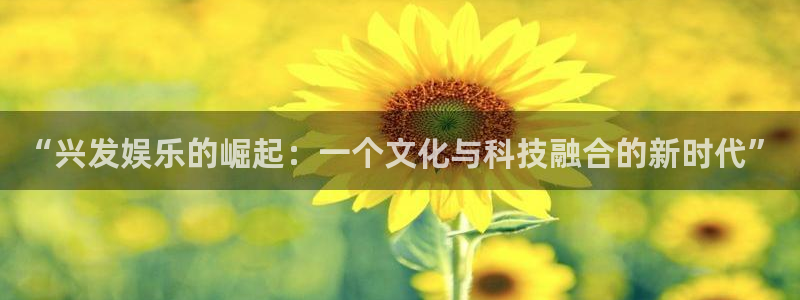美狮贵宾会入口：“兴发娱乐的崛起：一个文化与科技融合的新时代”
