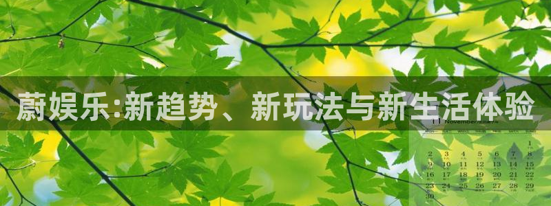 美狮贵宾会ms092021：蔚娱乐:新趋势、新玩法与新生活体验